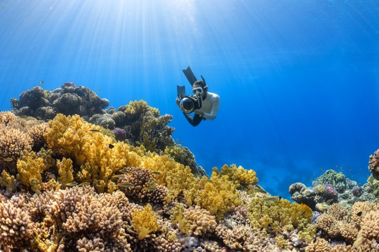 Unlocking the Magic of Destination Management Services